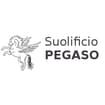 Logo Pegaso Srl