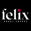 Logo Felix Srl