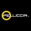 Logo Pelliccia Srl