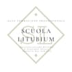 Logo Scuola Litubium Alta Formazione Professionale Srl
