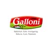 Logo Galloni Thomas E Andreas Snc
