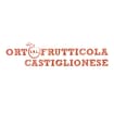 Logo Ortofrutticola Castiglionese Srl