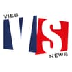 Logo Vies Srls.