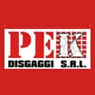 Logo Pek Disgaggi Srl