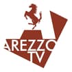 Logo Videonews Srl