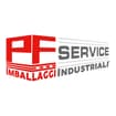 Logo P.f. Service Srl