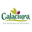Logo Calaciura Salvatore Srl