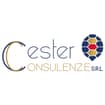 Logo Cester Consulenze Srl