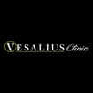 Logo Vesalius Srl