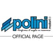 Logo Polini Motori Spa