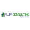 Logo Lupi Consulting Srl