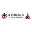 Logo G. Fumagalli - La Varesina Spurghi S.a.s. Di Fumagalli Tiziana E C