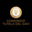 Logo Consorzio Tutela Del Gavi