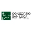 Logo Consorzio San Luca Per La Cultura, L'arte Ed Il Restauro Siglabil E Consorzio San Luca