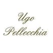 Logo Terrazza Fiorita Di Ugo Pellecchia Srls