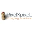 Logo Pixel X Pixel Di Silvestrini Walter