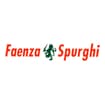 Logo Faenza Spurghi Srl
