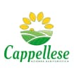 Logo Azienda Agricola "Cappellese" Di Michetti Marco E Fabiana Ss Agricola