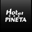 Logo "Pineta Srl"
