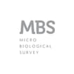 Logo "M.b.s. Srl" In Sigla "Mbs Srl"