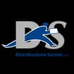Logo D.s. Srl