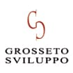 Logo "Grosseto Sviluppo Srl" O In Forma Abbreviata "Grosseto Sviluppo Srl"
