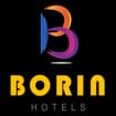 Logo Borin Group Srl