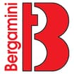 Logo Torneria Bergamini Snc Di Bergamini E. & C.