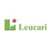 Logo Ing. Luciano Leucari E F.lli Srl