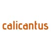 Logo Calicantus Srl