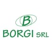 Logo Borgi Srl