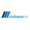 Logo Molisana Gas Srl