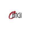 Logo Cangi Verniciature Industriali Srl