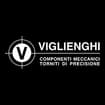 Logo Viglienghi Srl