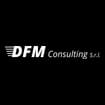 Logo Dfm Consulting Srl