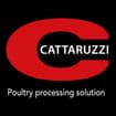 Logo Cattaruzzi Srl