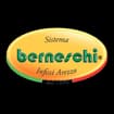 Logo Berneschi Srl