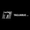 Logo Tagliabue Spa
