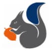 Logo Ballario & Forestello Srl