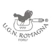 Logo U.g.n. Romagna Srl