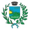 Logo Comune Di Collecchio - Tributi