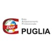 Logo En.a.p. Puglia Ente Addestramento Professionale