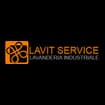 Logo Lavit Service Srl