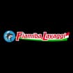 Logo Fiamiba Lavaggi Srl