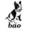 Logo Bao Publishing Srl O In Forma Abbreviata Bp Srl