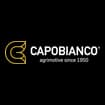 Logo Vincenzo Capobianco & Figli Srl
