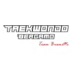 Logo Taekwondo Bergamo Associazione Sportiva Dilettantistica
