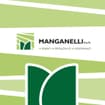 Logo Manganelli Spa