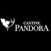Logo Pandora Srl
