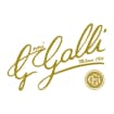 Logo Giovanni Galli S.n.c.